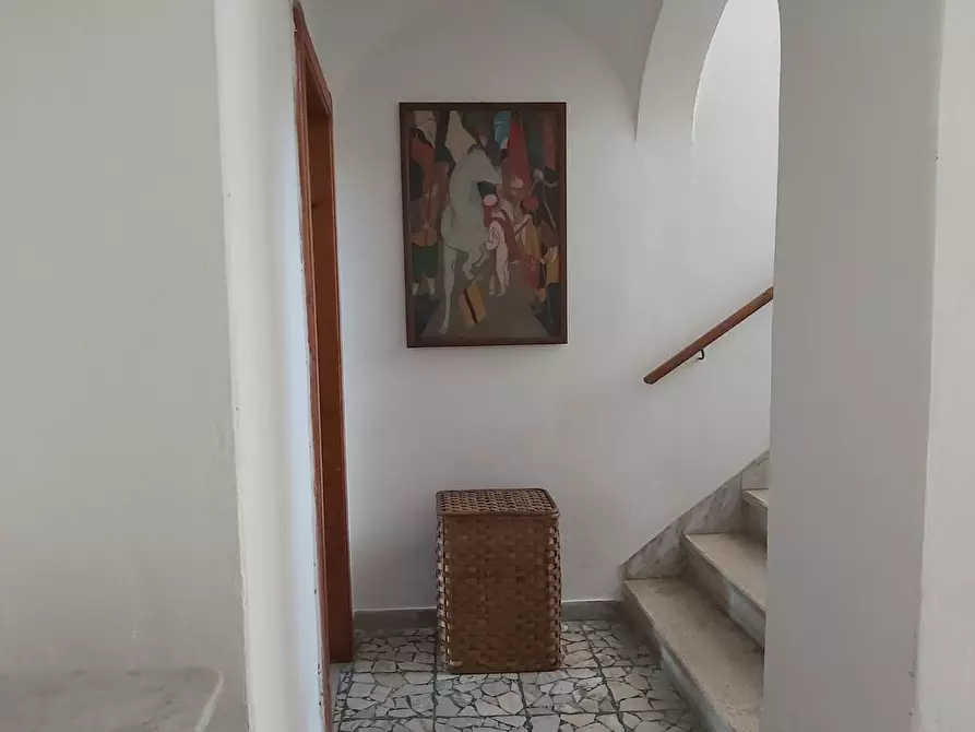 Immagine 9 di Terratetto in vendita  a Buti