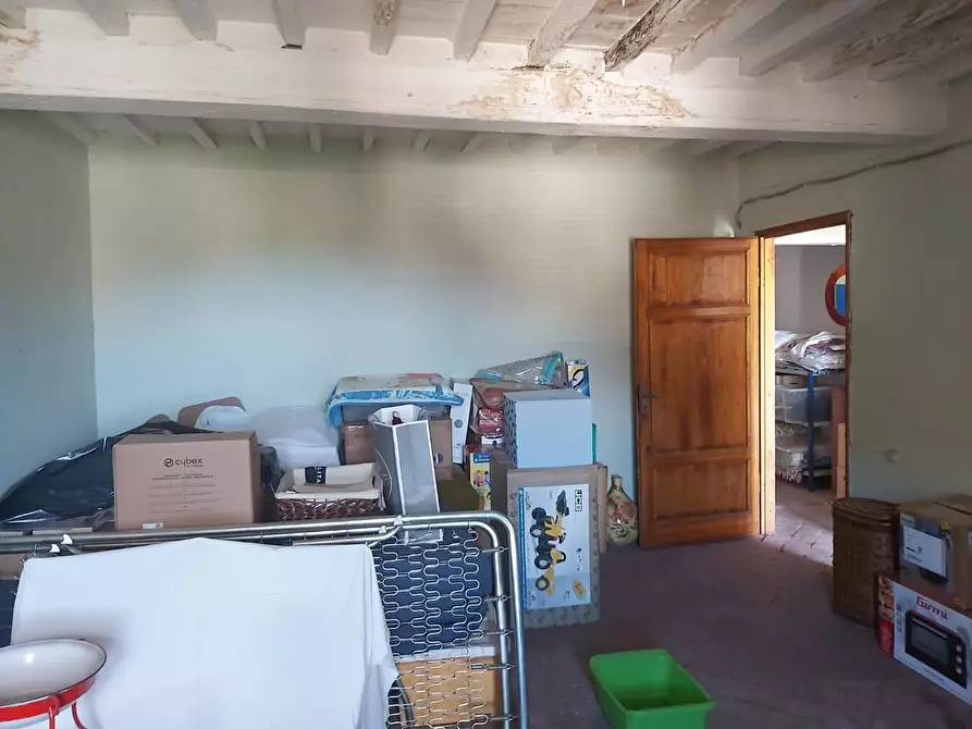 Immagine 52 di Terratetto in vendita  a Buti