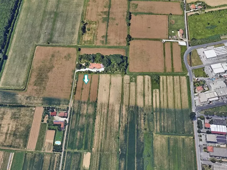 Immagine 1 di Terreno agricolo in vendita  a Massarosa