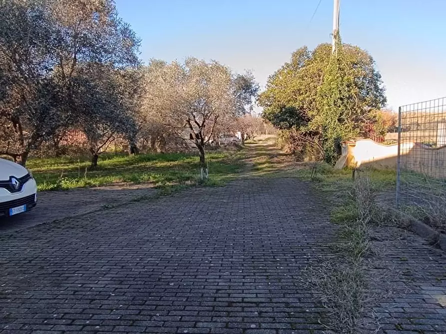 Immagine 2 di Casa indipendente in vendita  a Castelnuovo Magra