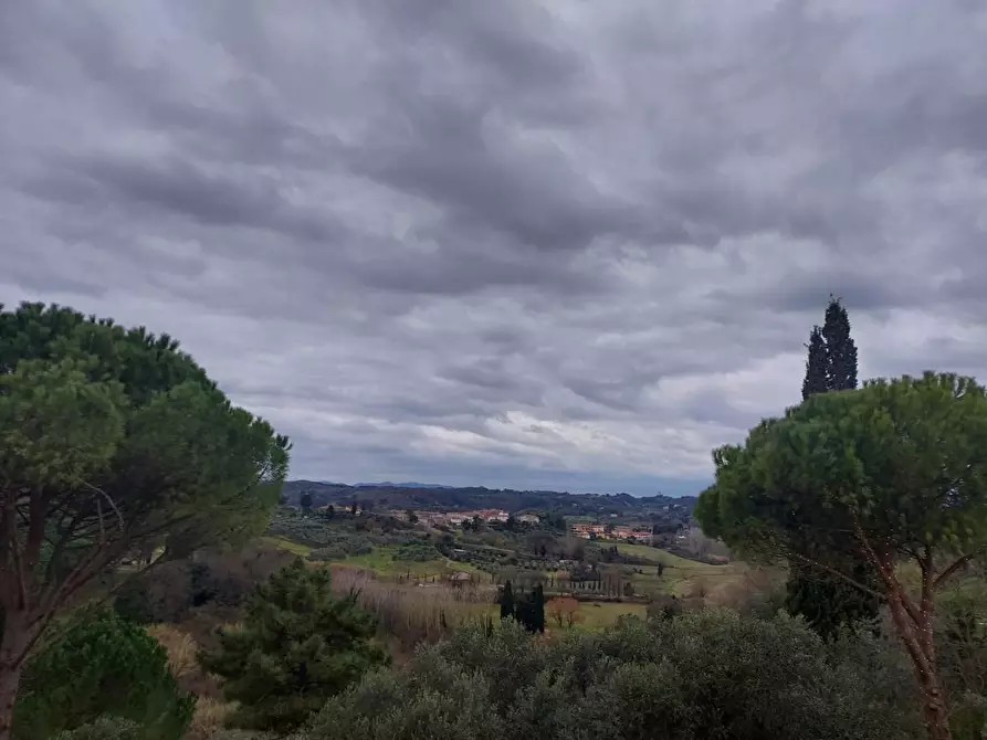 Immagine 4 di Porzione di casa in vendita  a Terricciola