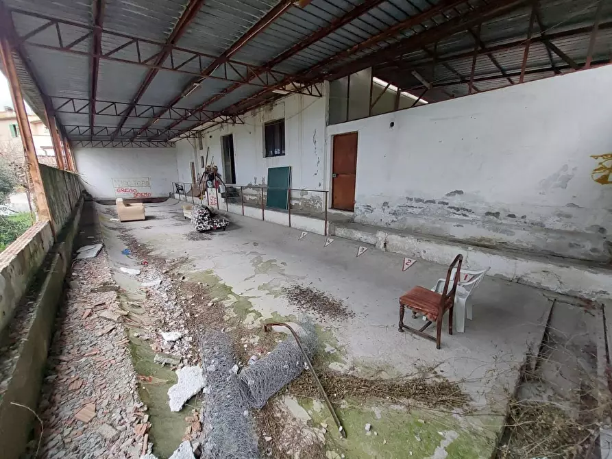 Immagine 26 di Porzione di casa in vendita  a Terricciola