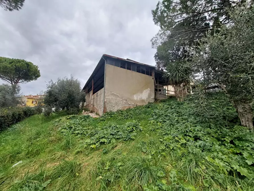 Immagine 27 di Porzione di casa in vendita  a Terricciola