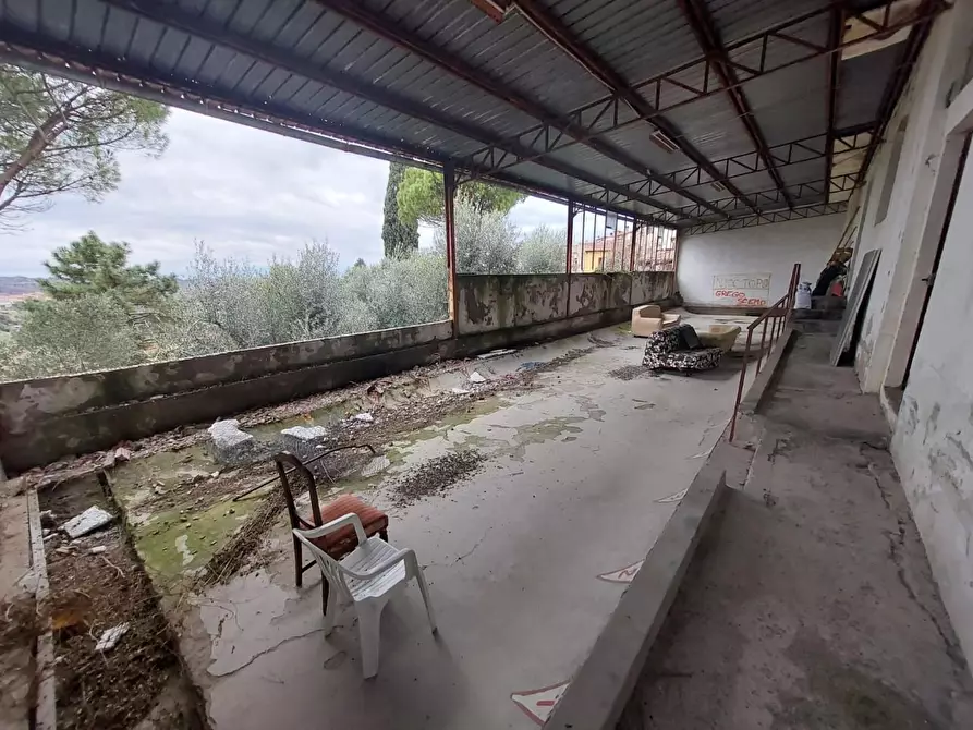 Immagine 24 di Porzione di casa in vendita  a Terricciola