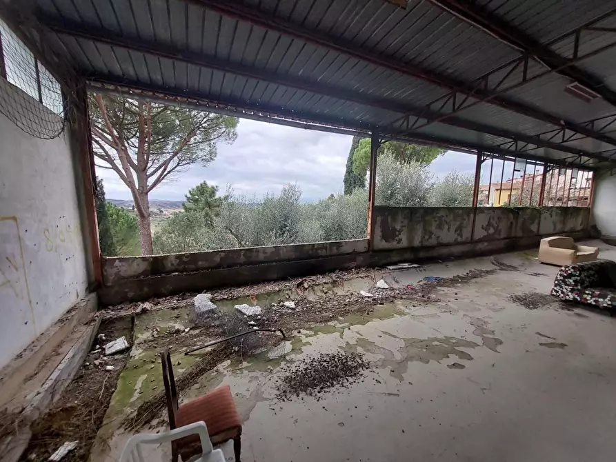 Immagine 25 di Porzione di casa in vendita  a Terricciola