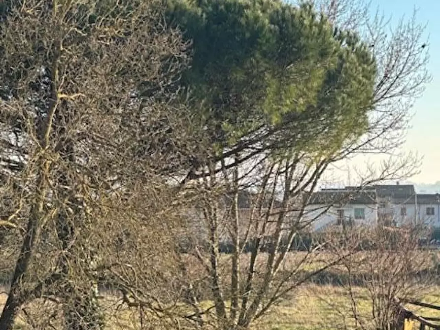 Immagine 21 di Terratetto in vendita  a Santa Maria A Monte