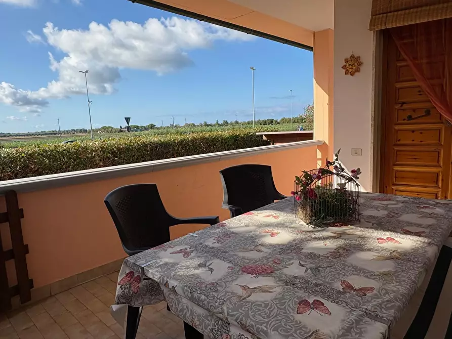 Immagine 6 di Appartamento in vendita  a Bibbona