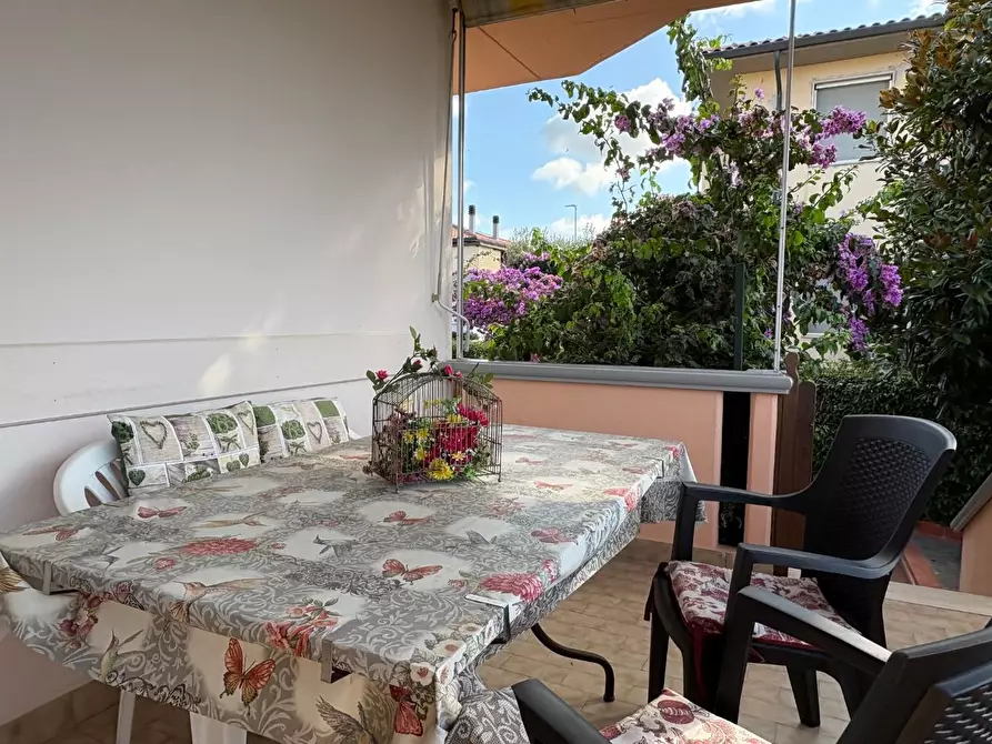 Immagine 8 di Appartamento in vendita  a Bibbona