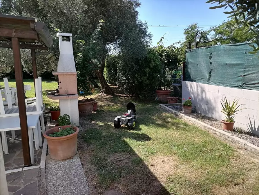 Immagine 37 di Terratetto in vendita  a San Giuliano Terme