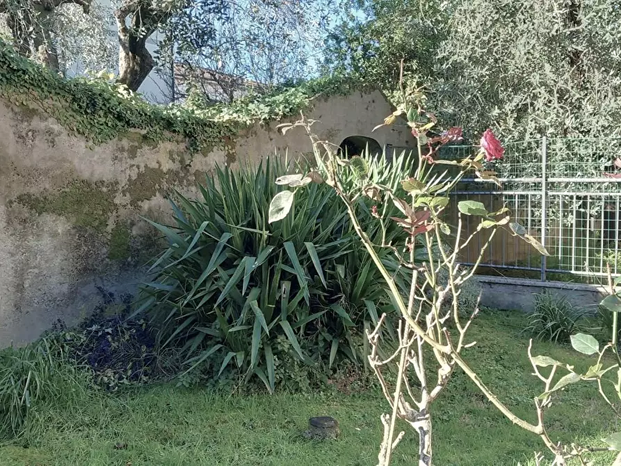 Immagine 7 di Casa indipendente in vendita  a Santa Croce Sull'arno