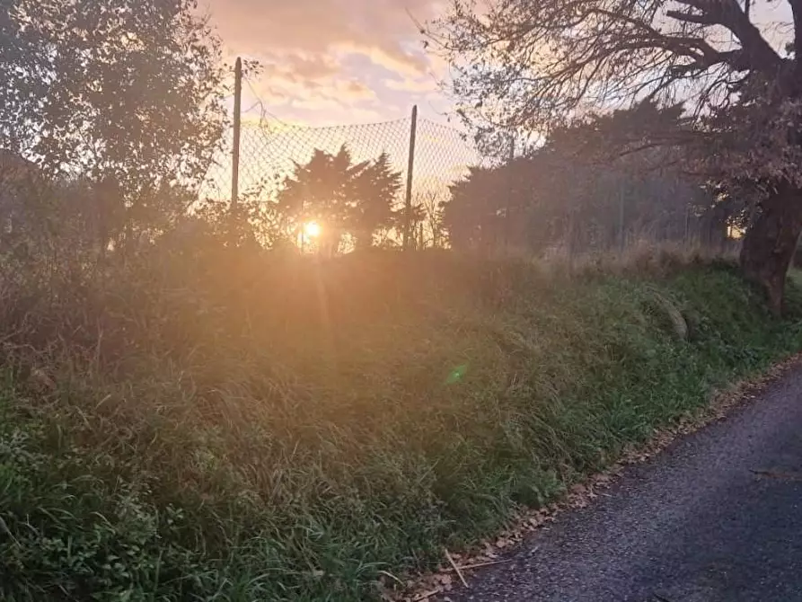 Immagine 3 di Terreno residenziale in vendita  a Casciana Terme Lari