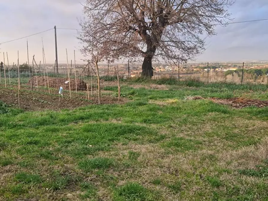 Immagine 9 di Terreno residenziale in vendita  a Casciana Terme Lari
