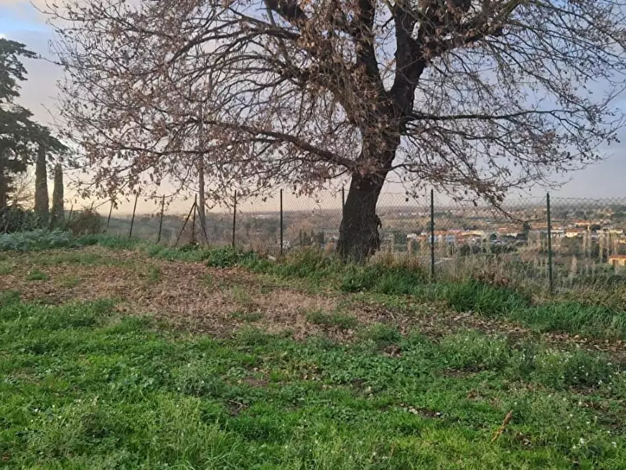 Immagine 7 di Terreno residenziale in vendita  a Casciana Terme Lari