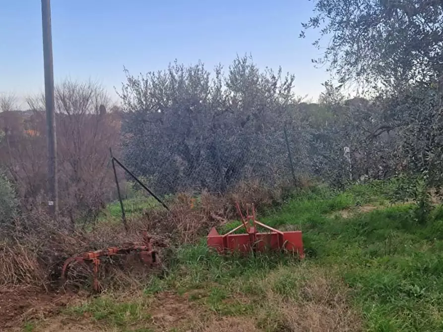 Immagine 13 di Casa indipendente in vendita  a Casciana Terme Lari