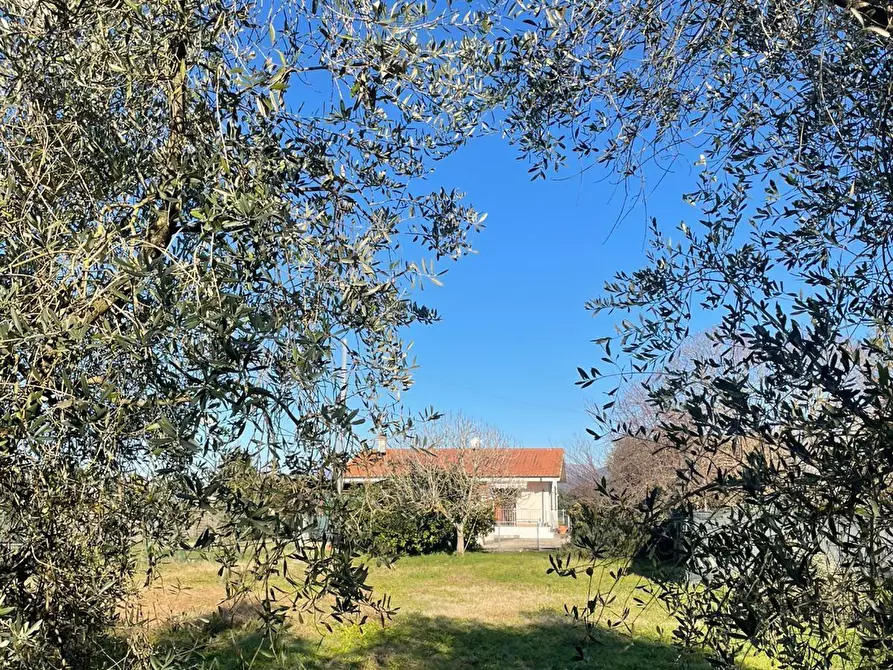 Immagine 13 di Villa in vendita  a San Giuliano Terme