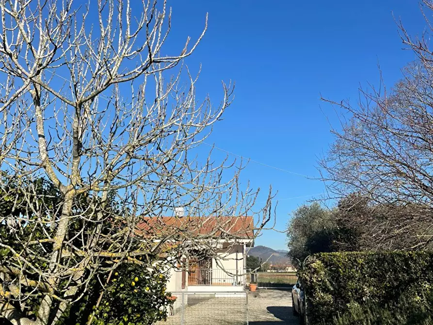 Immagine 15 di Villa in vendita  a San Giuliano Terme