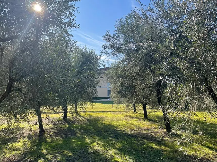 Immagine 14 di Villa in vendita  a San Giuliano Terme