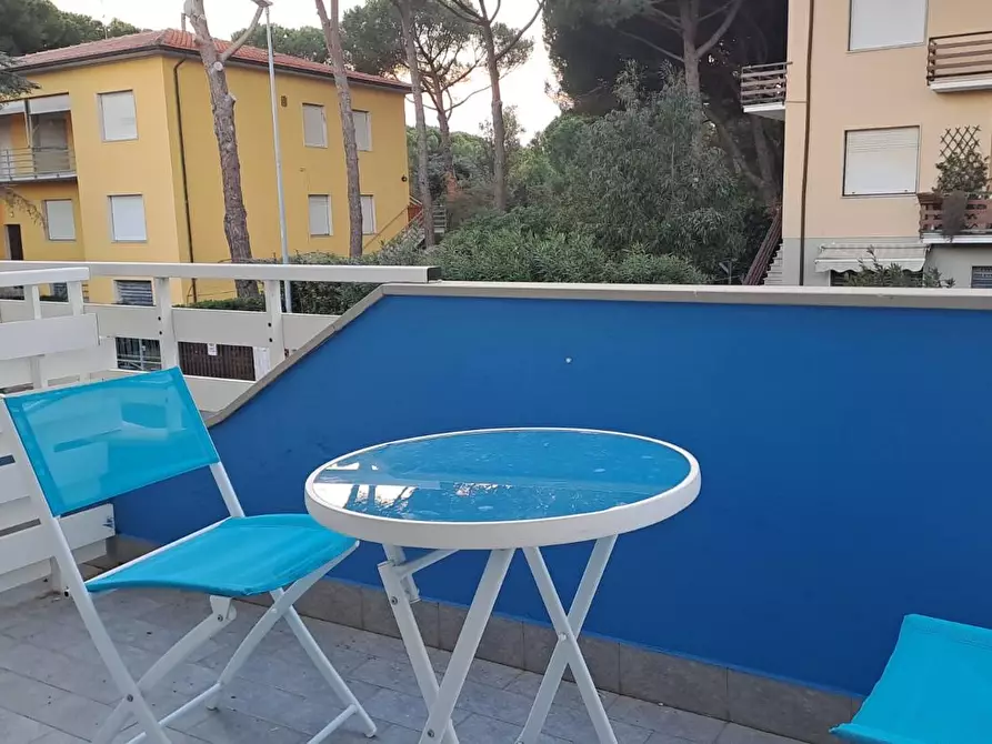 Immagine 6 di Appartamento in vendita  a Bibbona