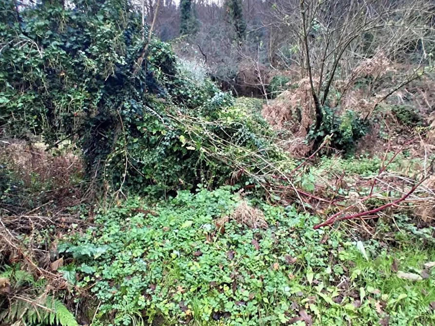 Immagine 2 di Deposito in vendita  a Capannori