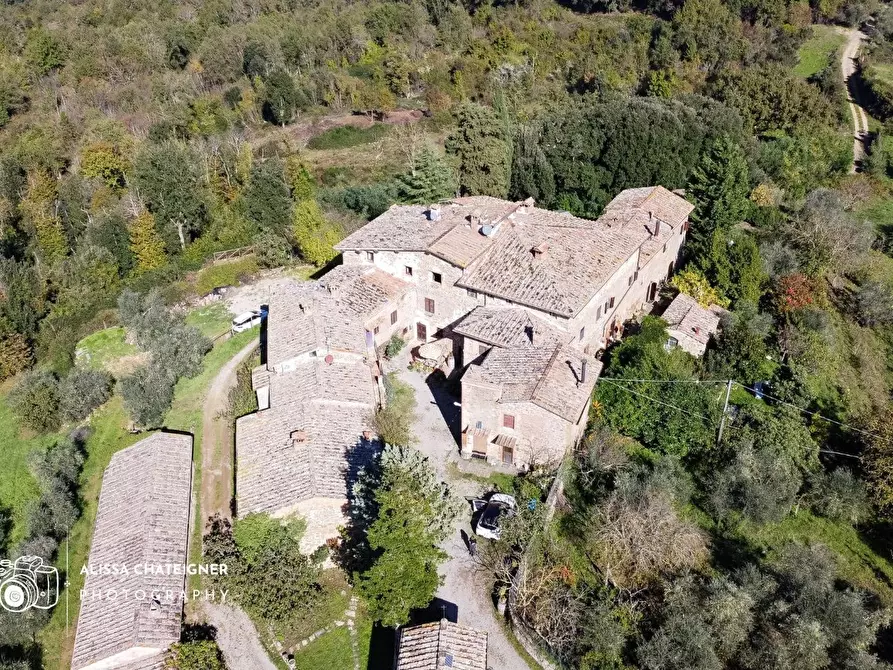 Immagine 19 di Appartamento in vendita  a Castelnuovo Berardenga