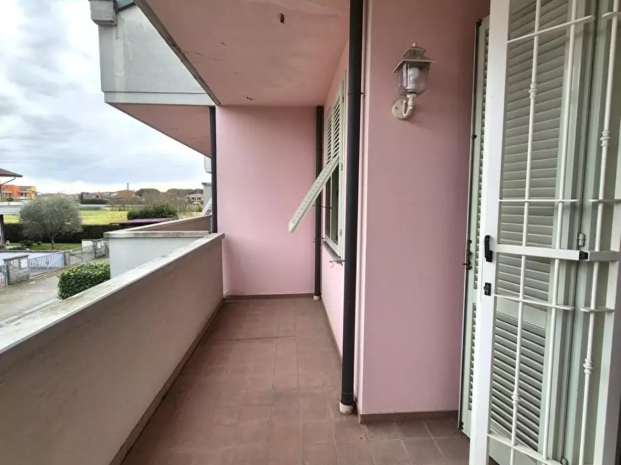 Immagine 28 di Terratetto in vendita  a Santa Croce Sull'arno