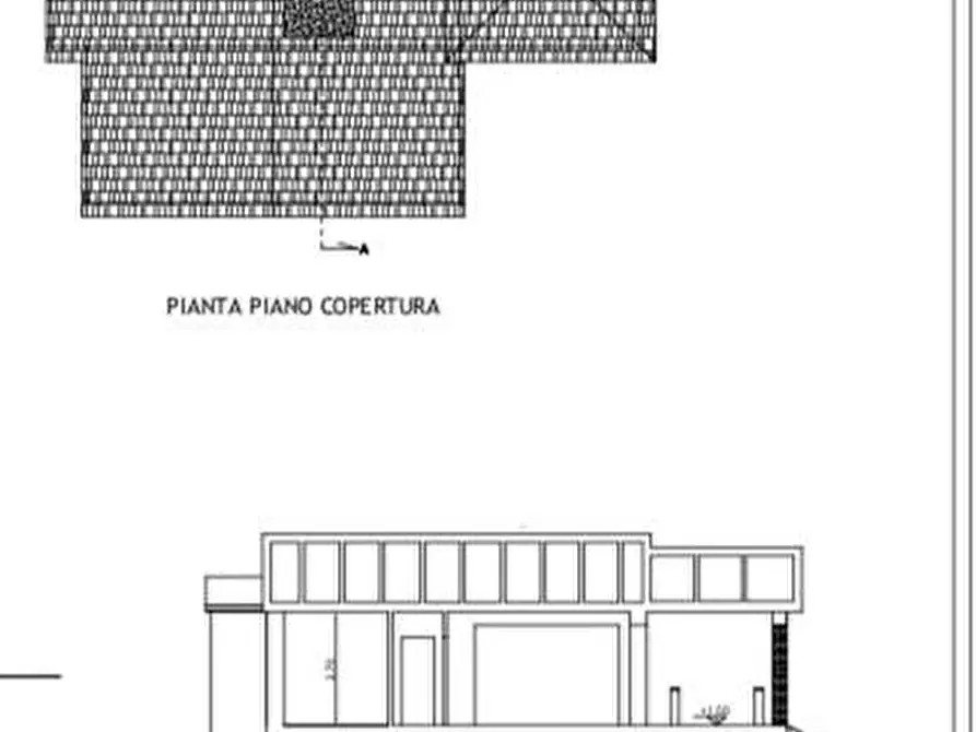 Immagine 3 di Terreno residenziale in vendita  a Bibbona