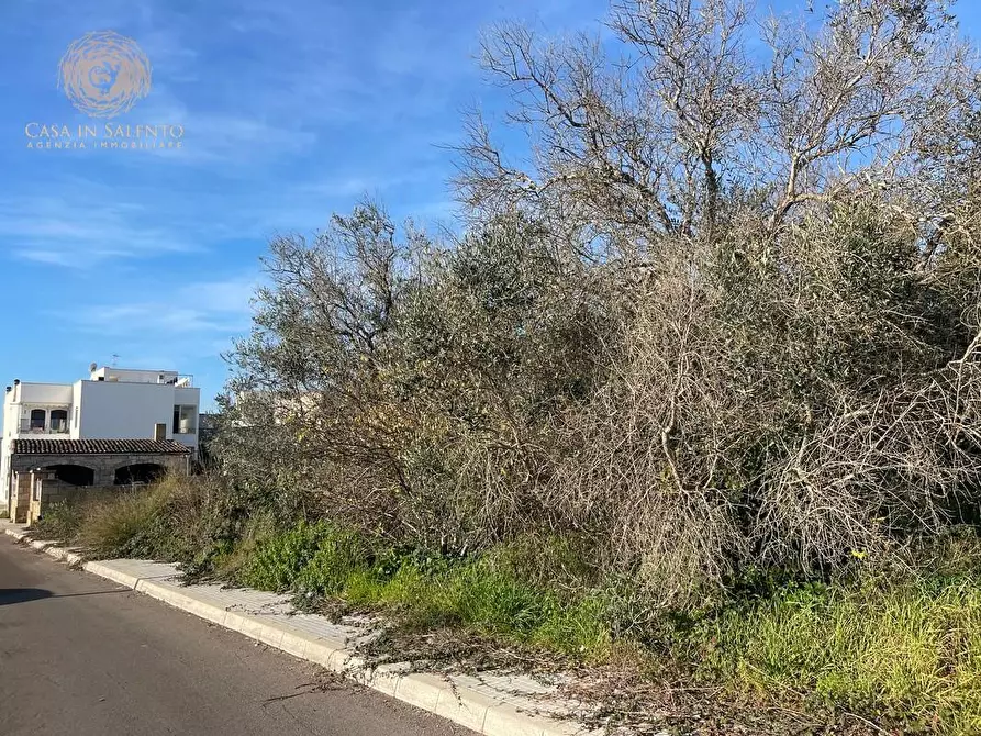 Immagine 10 di Terreno residenziale in vendita  a Tricase