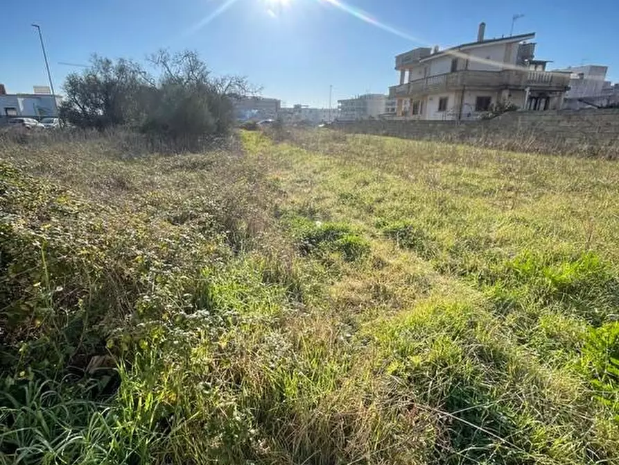 Immagine 4 di Terreno residenziale in vendita  a Tricase