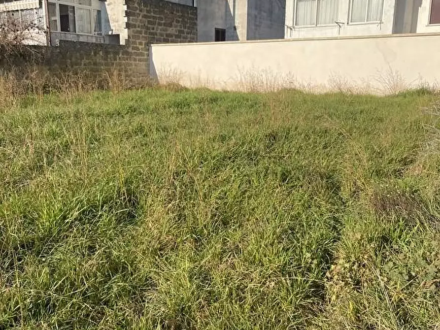 Immagine 3 di Terreno residenziale in vendita  a Tricase
