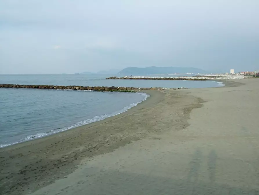 Immagine 10 di Appartamento in vendita  a Massa