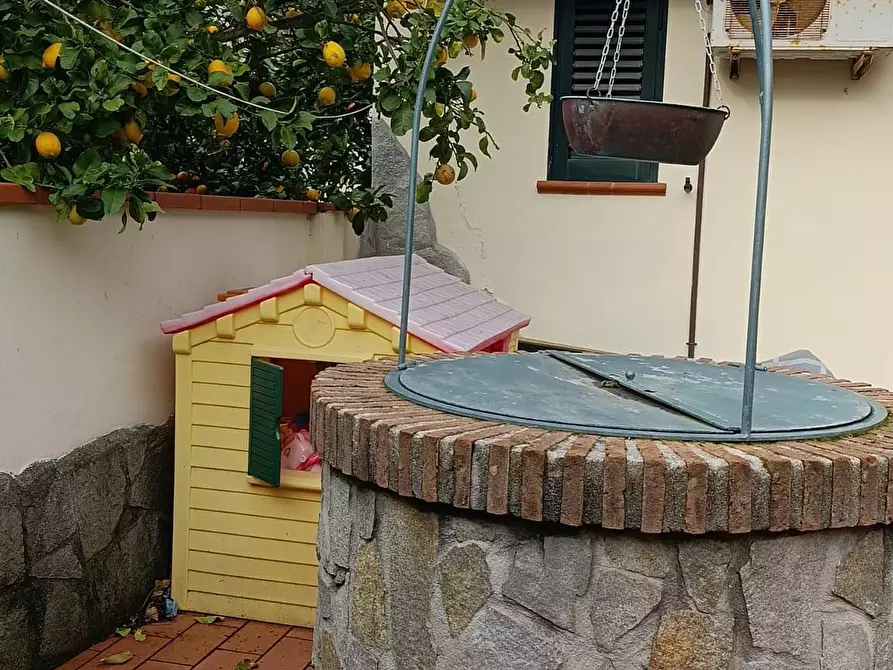 Immagine 24 di Appartamento in vendita  a Rosignano Marittimo