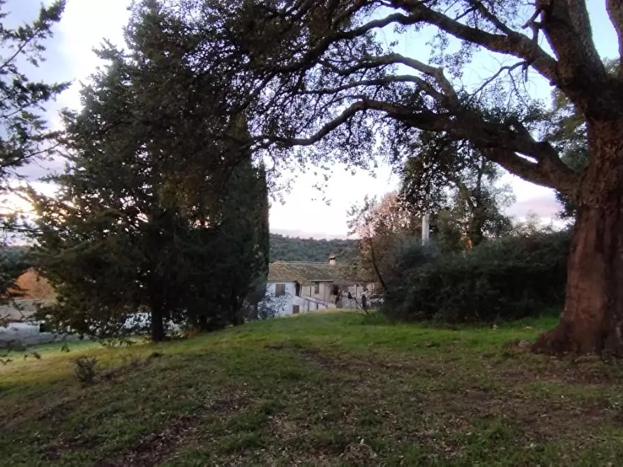 Immagine 1 di Terreno agricolo in vendita  a Roccastrada