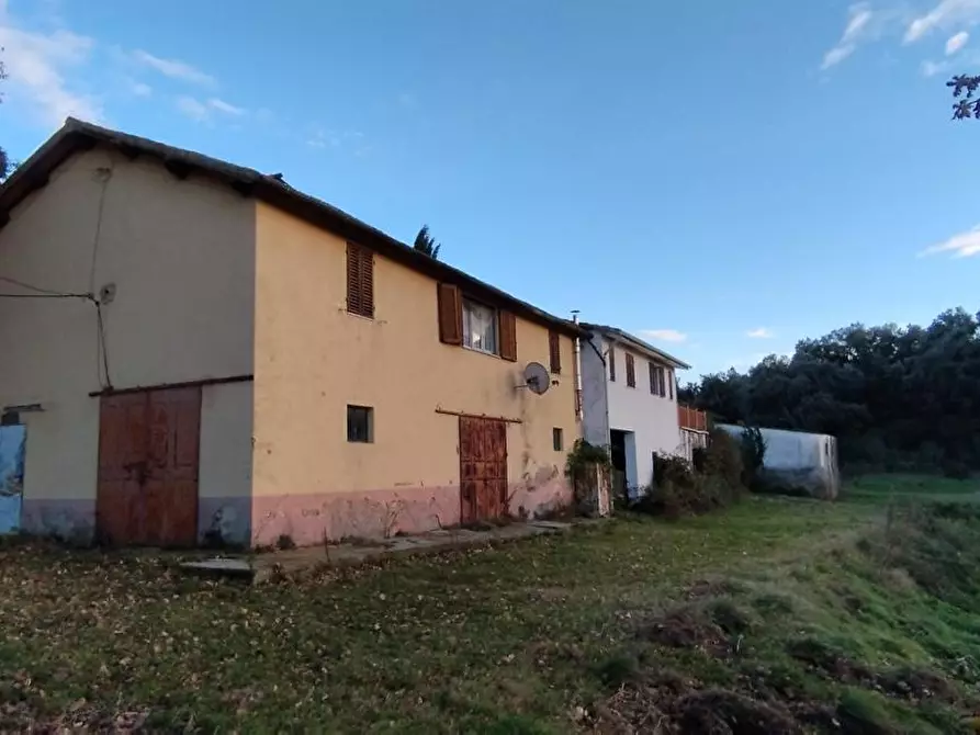 Immagine 3 di Terreno agricolo in vendita  a Roccastrada