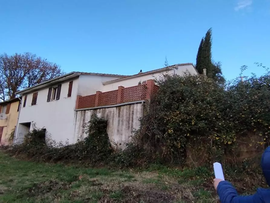 Immagine 13 di Terreno agricolo in vendita  a Roccastrada