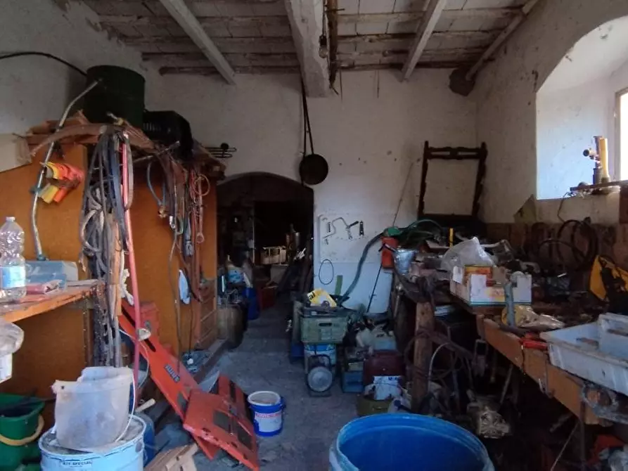 Immagine 16 di Terreno agricolo in vendita  a Roccastrada