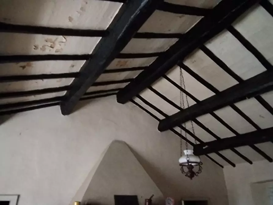 Immagine 5 di Terreno agricolo in vendita  a Roccastrada