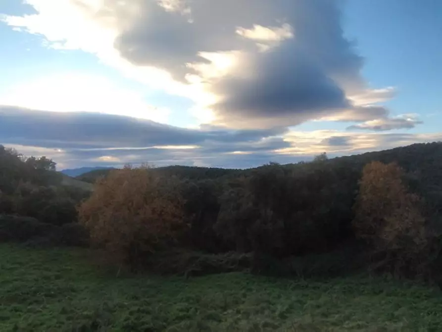 Immagine 4 di Terreno agricolo in vendita  a Roccastrada