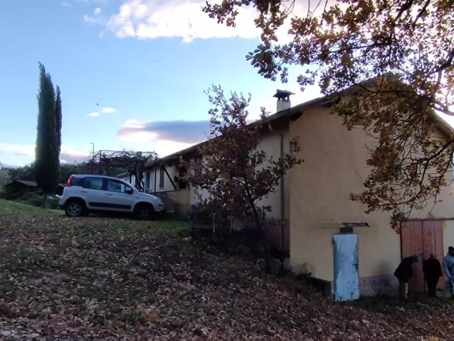 Immagine 17 di Terreno agricolo in vendita  a Roccastrada