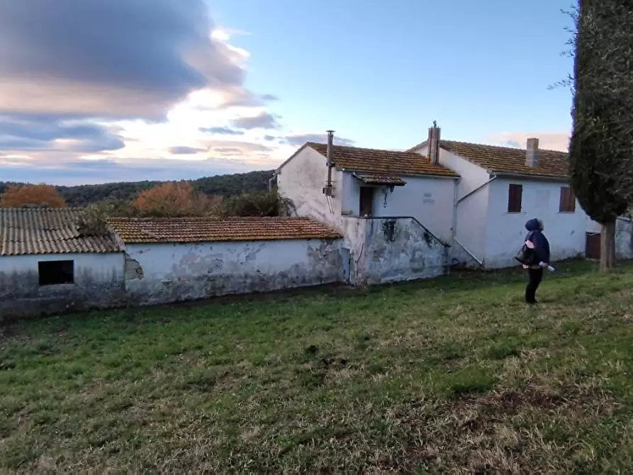 Immagine 2 di Terreno agricolo in vendita  a Roccastrada