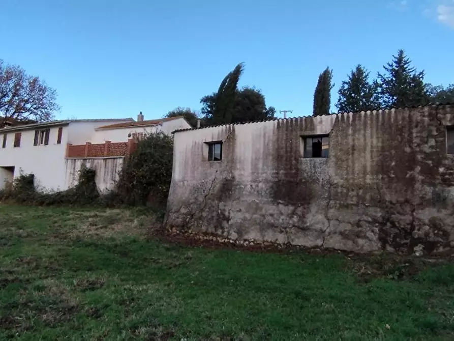 Immagine 12 di Terreno agricolo in vendita  a Roccastrada