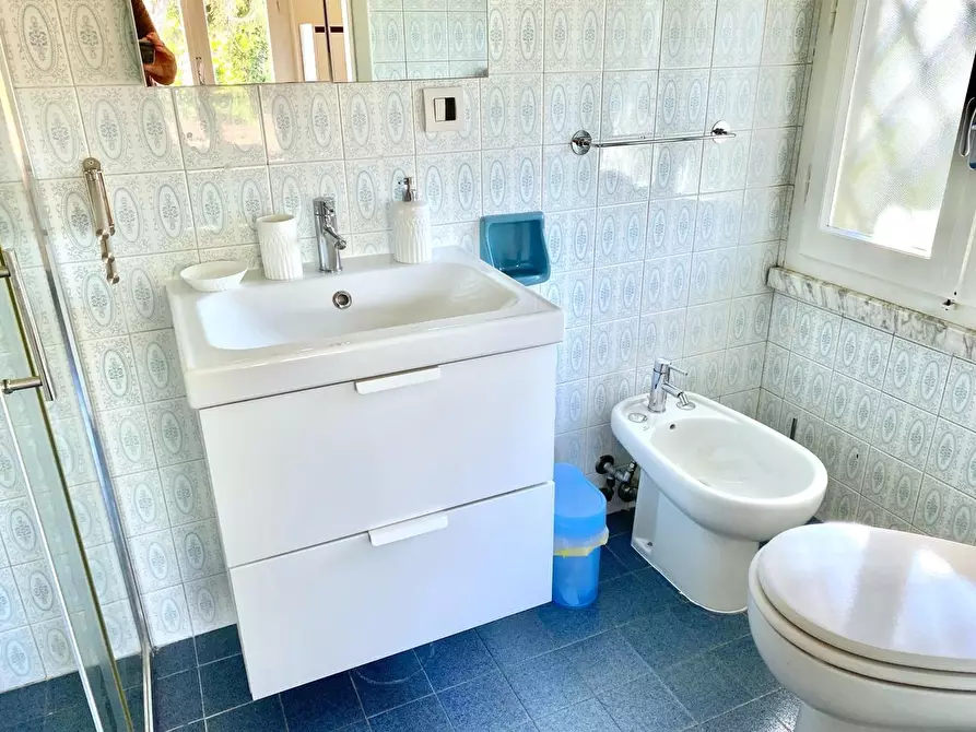 Immagine 14 di Villa in affitto  a Forte Dei Marmi