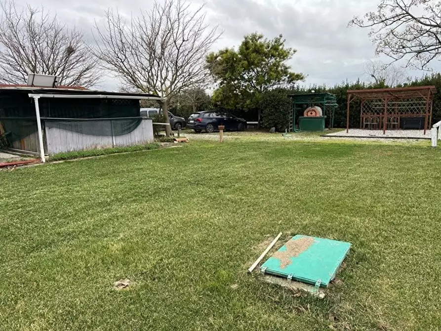 Immagine 25 di Terreno agricolo in vendita  a Bibbona