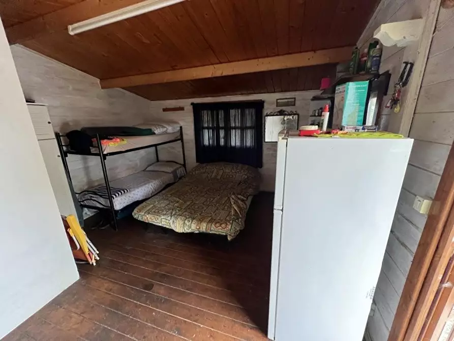 Immagine 5 di Terreno agricolo in vendita  a Bibbona