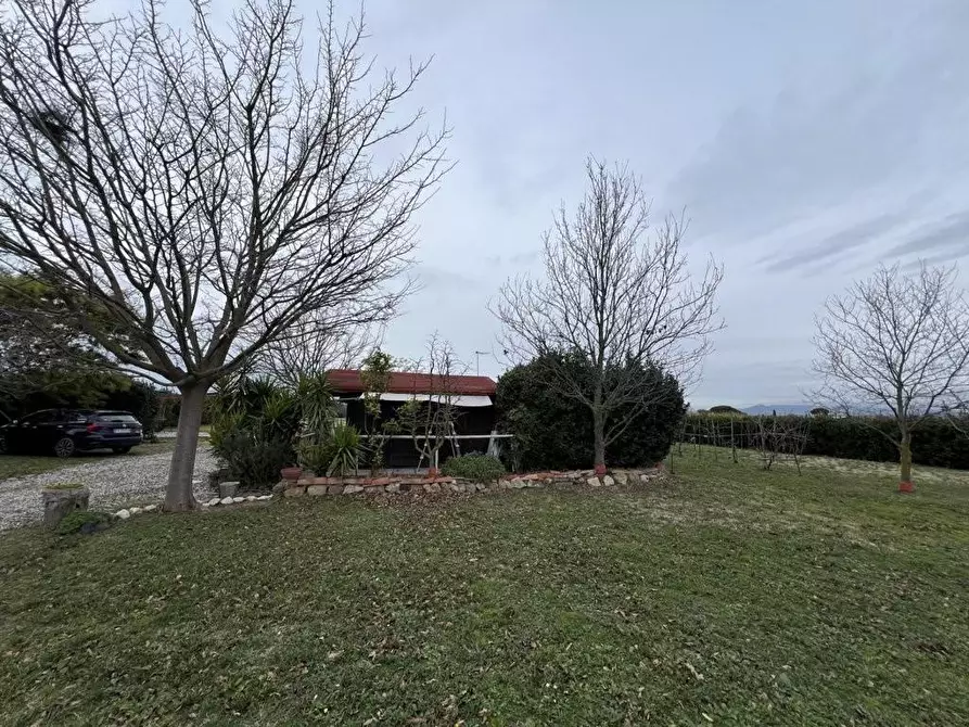 Immagine 15 di Terreno agricolo in vendita  a Bibbona