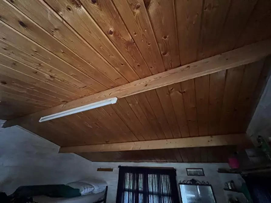 Immagine 9 di Terreno agricolo in vendita  a Bibbona