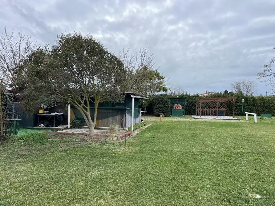 Immagine 4 di Terreno agricolo in vendita  a Bibbona