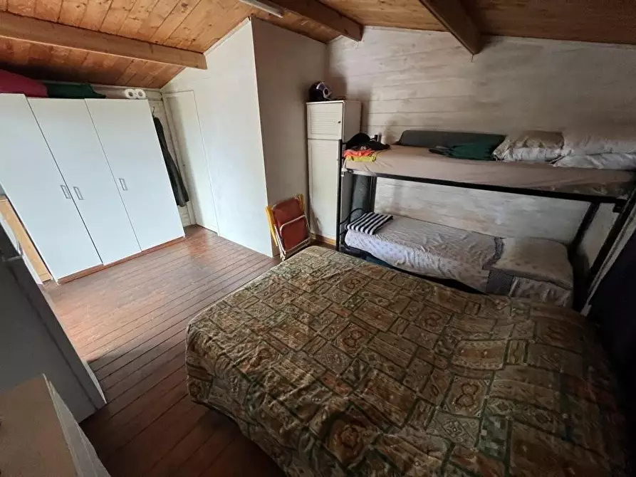 Immagine 8 di Terreno agricolo in vendita  a Bibbona