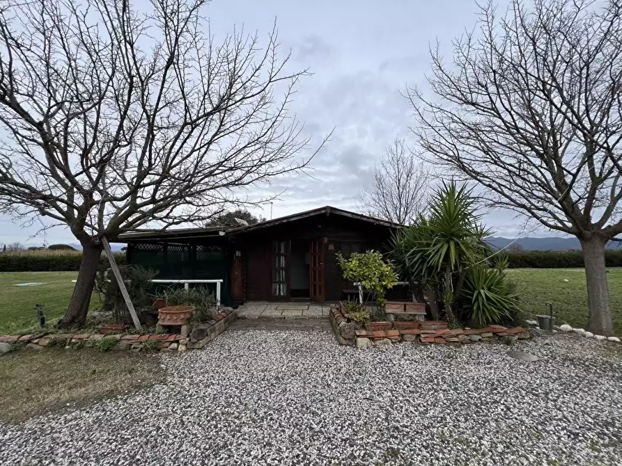 Immagine 3 di Terreno agricolo in vendita  a Bibbona
