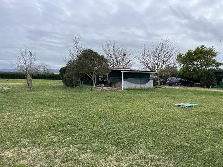 Immagine 22 di Terreno agricolo in vendita  a Bibbona