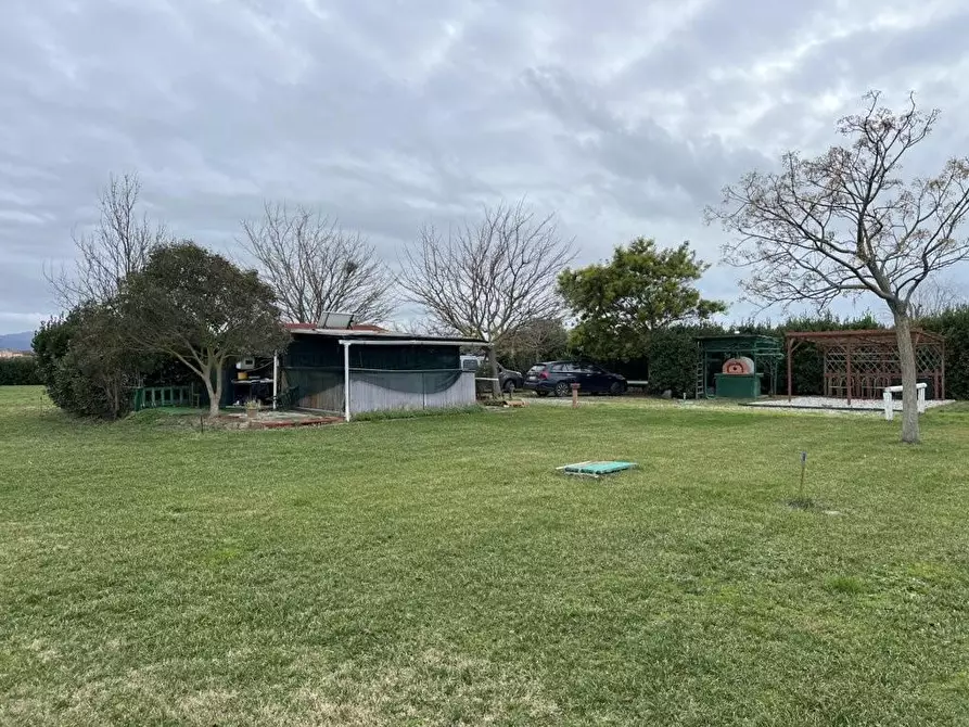 Immagine 23 di Terreno agricolo in vendita  a Bibbona